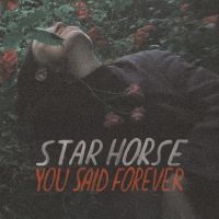 STAR HORSE - YOU SAID FOREVER in the group VINYL / Pop-Rock at Bengans Skivbutik AB (3495817)