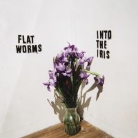 Flat Worms - Into The Iris in the group VINYL / Pop-Rock at Bengans Skivbutik AB (3496113)