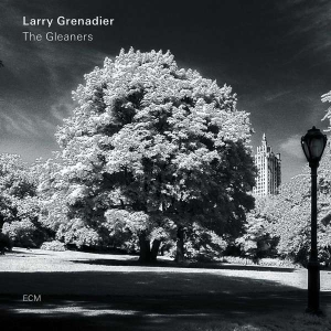 Grenadier Larry - The Gleaners (Lp) in the group OTHER / CDV06 at Bengans Skivbutik AB (3496602)