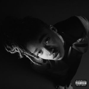 Little Simz - Grey Area in the group OUR PICKS / Album Of The Year 2019 / Årsbästa 2019 NME at Bengans Skivbutik AB (3505479)