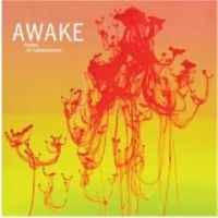 Awake - Aubes Et Crepuscules in the group CD / Jazz at Bengans Skivbutik AB (3509661)