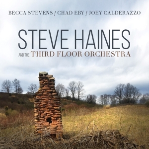 Haines Steve And The Third Floor Orchestra - Steve Haines And The Third Floor Orchestra in the group CD / Jazz at Bengans Skivbutik AB (3510922)