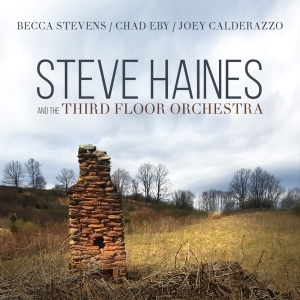 Steve Haines And The Third Flo - Steve Haines And The Third Floor Orchestra in the group CD / Jazz at Bengans Skivbutik AB (3510922)