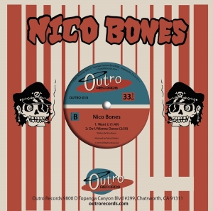 King Flamingo & Nico Bones - King Flamingo Vs Nico Bones in the group VINYL / Punk at Bengans Skivbutik AB (3512116)