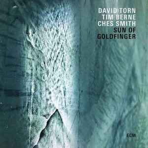 Torn David - Sun Of Goldfinger in the group OUR PICKS / Album Of The Year 2019 / Årsbästa 2019 JazzTimes at Bengans Skivbutik AB (3512312)