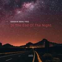 Berg Oddgeir (Trio) - In The End Of The Night in the group CD / Jazz at Bengans Skivbutik AB (3515001)