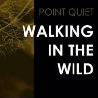 Point Quiet - Walking In The Wind in the group VINYL / Pop-Rock at Bengans Skivbutik AB (3522497)