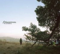 Arbouretum - Gathering in the group VINYL / Pop-Rock at Bengans Skivbutik AB (3529687)