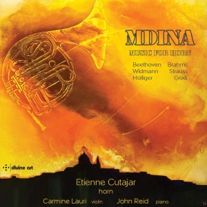 Various - Mdina - Music For Horn in the group OUR PICKS / Christmas gift tip CD at Bengans Skivbutik AB (3566068)