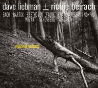 Liebman Dave & Richie Beirach - Eternal Voices in the group CD / Jazz at Bengans Skivbutik AB (3599523)