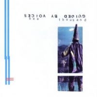 Guided By Voices - Bee Thousand in the group OUR PICKS /  Christmas gift tip Vinyl at Bengans Skivbutik AB (3610125)