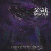 Euphoric Defilement - Ascending To The Worms in the group CD / Hårdrock at Bengans Skivbutik AB (3636569)