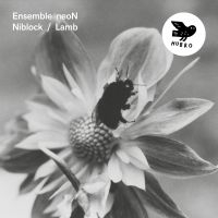 Ensemble Neon - Niblock/Lamb in the group CD / Jazz at Bengans Skivbutik AB (3639294)