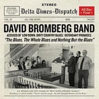 Bromberg David - Blues The Whole Blues And Nothing B in the group CD / Pop-Rock at Bengans Skivbutik AB (3642654)