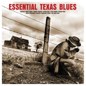 Various Artists - Esential Texas Blues in the group VINYL / Blues,Jazz at Bengans Skivbutik AB (3656243)