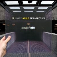 Anile - Perspective in the group VINYL / Dance-Techno at Bengans Skivbutik AB (3659196)