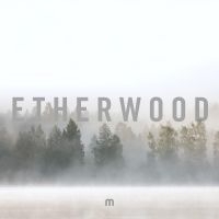 Etherwood - In Stillness in the group VINYL / Dance-Techno at Bengans Skivbutik AB (3662089)