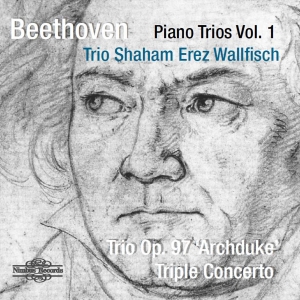 Beethoven Ludwig Van - Piano Trios Vol. 1: Archduke Trio & in the group OUR PICKS / Christmas gift tip CD at Bengans Skivbutik AB (3665962)