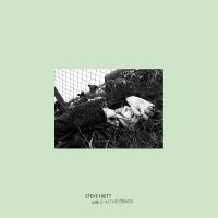 Steve Hiett - Girls In The Grass in the group OUR PICKS / Frontpage - Vinyl New & Forthcoming at Bengans Skivbutik AB (3674934)