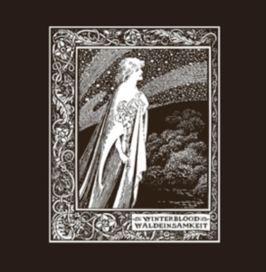 Winterblood - Waldeinsamkeit (2 Lp) in the group VINYL / Hårdrock at Bengans Skivbutik AB (3702639)