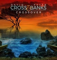 Cross David And Peter Banks - Crossover in the group CD / Pop-Rock at Bengans Skivbutik AB (3727106)