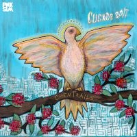 Chemtrails - Cuckoo Spit Ep in the group VINYL / Pop-Rock at Bengans Skivbutik AB (3728539)