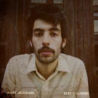 Leif Vollebekk - North Americana in the group CD / Pop-Rock at Bengans Skivbutik AB (3734166)