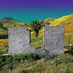 Shopping - All Or Nothing in the group CD / Pop-Rock at Bengans Skivbutik AB (3734432)