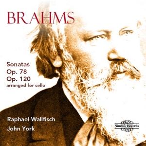 Brahms Johannes - Sonatas, Opp. 78 & 120 (Arranged Fo in the group OUR PICKS / Christmas gift tip CD at Bengans Skivbutik AB (3743338)