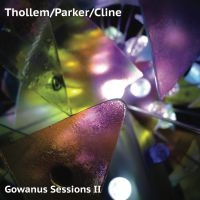 Thollem/Parker/Cline - Gowanus Sessions Ii in the group CD / Jazz at Bengans Skivbutik AB (3759601)