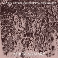 Bitchin Bajas & Natural Information - Automaginary in the group VINYL / Pop-Rock at Bengans Skivbutik AB (3763842)