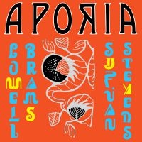 Sufjan Stevens & Lowell Brams - Aporia in the group VINYL / Dance-Techno,Pop-Rock at Bengans Skivbutik AB (3766600)