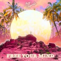 Big Gigantic - Free Your Mind in the group CD / Dance-Techno at Bengans Skivbutik AB (3766609)