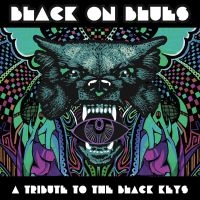 Various Artists - Black On Blues - A Tribute To The B in the group VINYL / Pop-Rock at Bengans Skivbutik AB (3768688)