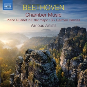 Beethoven Ludwig Van - Chamber Music (2Cd) in the group OUR PICKS / Christmas gift tip CD at Bengans Skivbutik AB (3788261)