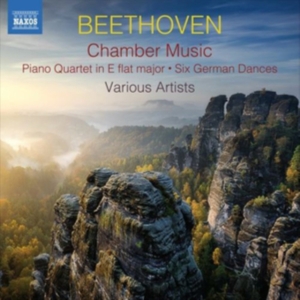 Beethoven Ludwig Van - Chamber Music (2Cd) in the group Externt_Lager / at Bengans Skivbutik AB (3788261)