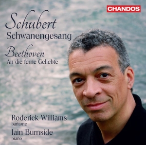 Beethoven Ludwig Van Schubert Fr - Schubert: Schwanengesang Beethoven in the group OUR PICKS / Christmas gift tip CD at Bengans Skivbutik AB (3799094)