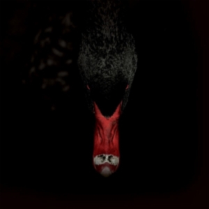 Sankt Otten + N - Mannerfreundschaften Und Metaphysik in the group OTHER / Övrigt / at Bengans Skivbutik AB (3829707)