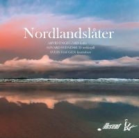 Engegård/Svendsrud/Haugen - Nordlandslåter in the group CD / Pop-Rock at Bengans Skivbutik AB (3829833)