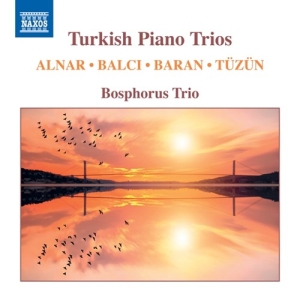 Various - Turkish Piano Trios in the group OUR PICKS / Christmas gift tip CD at Bengans Skivbutik AB (3838216)