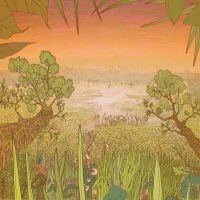 Pine Barons - Mirage On The Meadow in the group VINYL / Pop-Rock at Bengans Skivbutik AB (3843023)