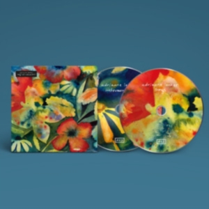 Lenker Adrianne - Songs And Instrumentals in the group OUR PICKS / Album Of The Year 2020 / Pitchfork 2020 at Bengans Skivbutik AB (3860757)