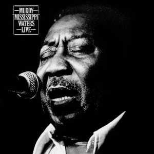 Muddy Waters - Muddy