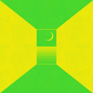 Ceremony - In The Spirit World Now (Synthetic in the group VINYL / Pop-Rock at Bengans Skivbutik AB (3865963)