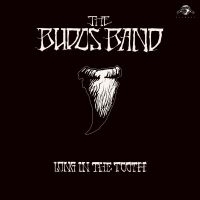 Budos Band The - Long In The Tooth in the group VINYL / Pop-Rock at Bengans Skivbutik AB (3894424)