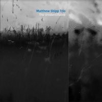 Shipp Matthew (Trio) - Unidentifiable in the group OUR PICKS / Album Of The Year 2020 / JazzTimes 2020 at Bengans Skivbutik AB (3901184)