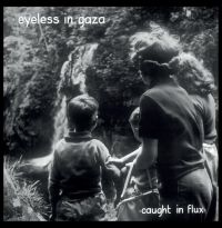 Eyeless In Gaza - Caught In Flux in the group VINYL / Pop-Rock at Bengans Skivbutik AB (3903392)