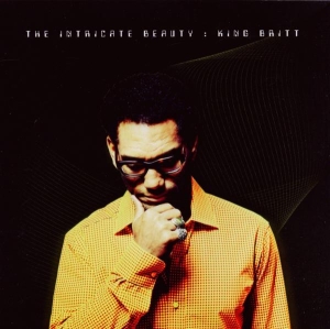 King Britt - The Intricate Beauty in the group CD / Dance-Techno at Bengans Skivbutik AB (3920121)