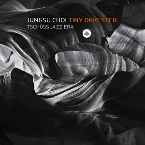 Jungsu -Tiny Orkester- Choi - Tschuss Jazz Era in the group CD / Jazz at Bengans Skivbutik AB (3922941)