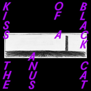 Kiss The Anus Of A Black Cat - If The Sky Falls, We Shall Catch Larks in the group VINYL / Pop-Rock,Övrigt at Bengans Skivbutik AB (3928906)